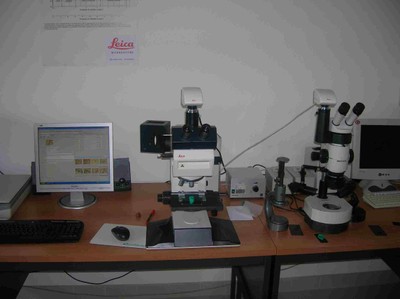 Microscopi Ottici