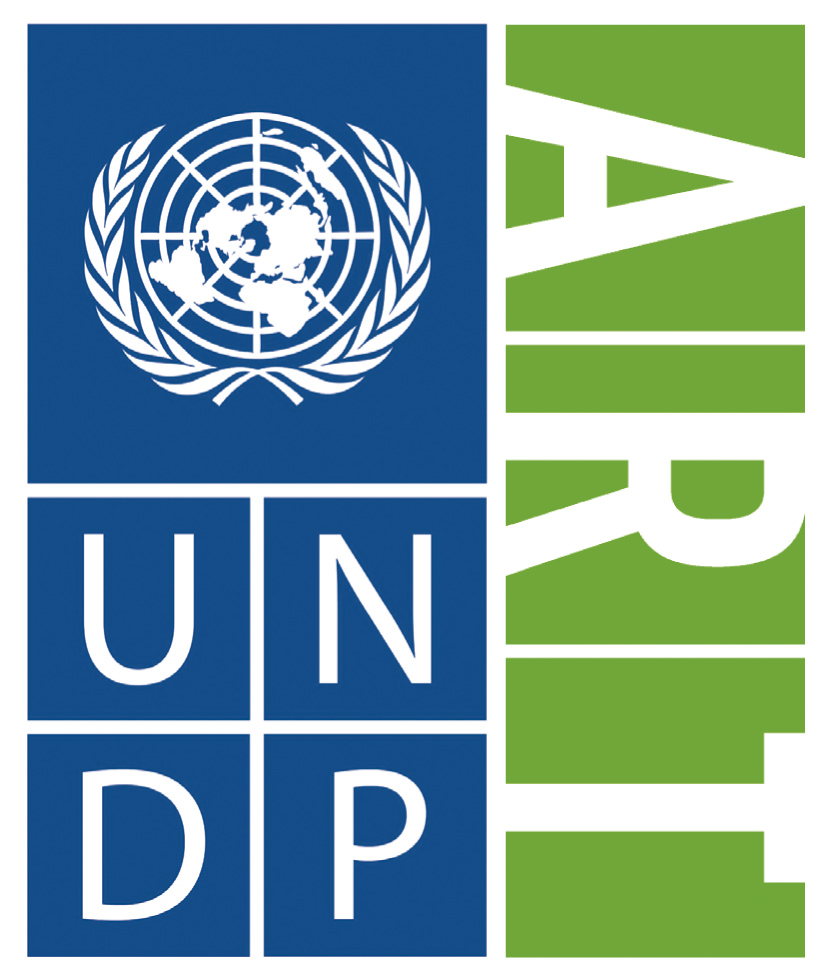 Logo UNDP