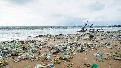 Inquinamento da plastica nel Mediterraneo | Unife in prima linea con il progetto Adriplast